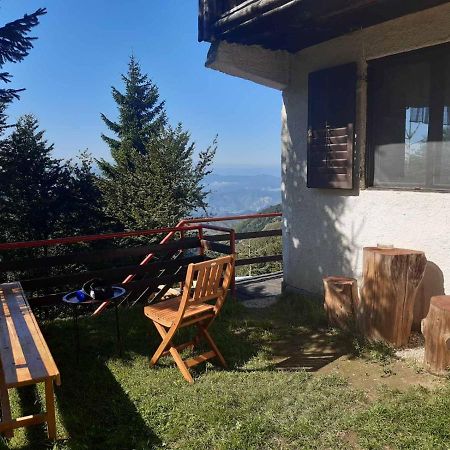 Holiday House Nesovic Kopaonik Luaran gambar