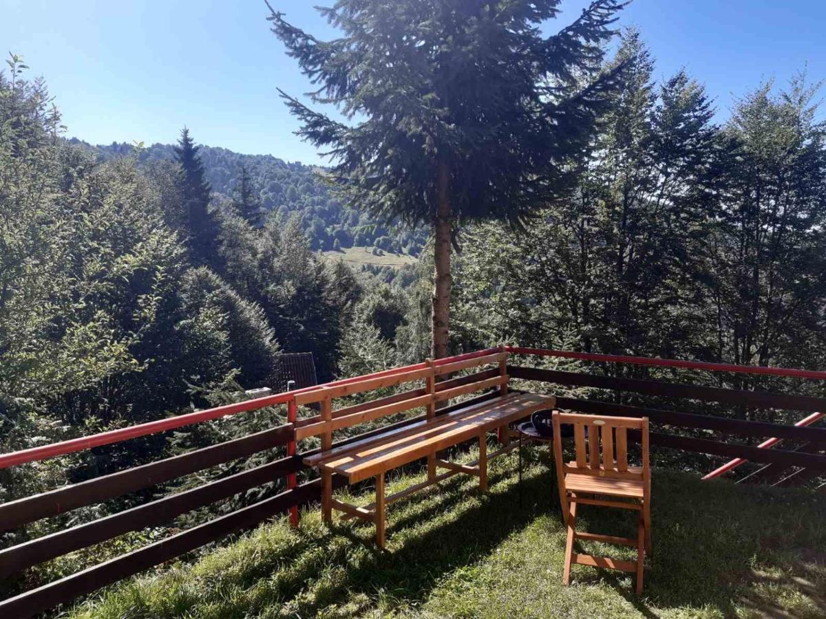 Holiday House Nesovic Kopaonik Luaran gambar