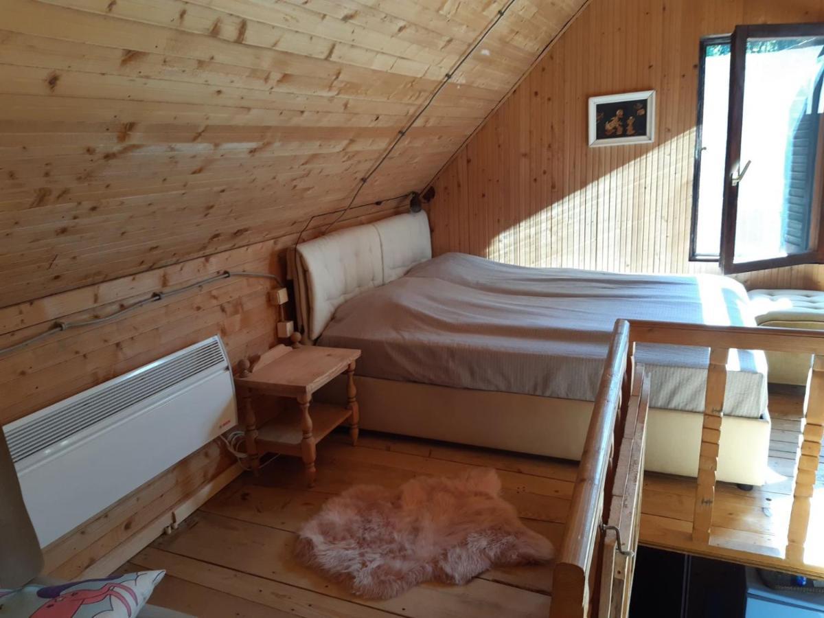 Holiday House Nesovic Kopaonik Luaran gambar