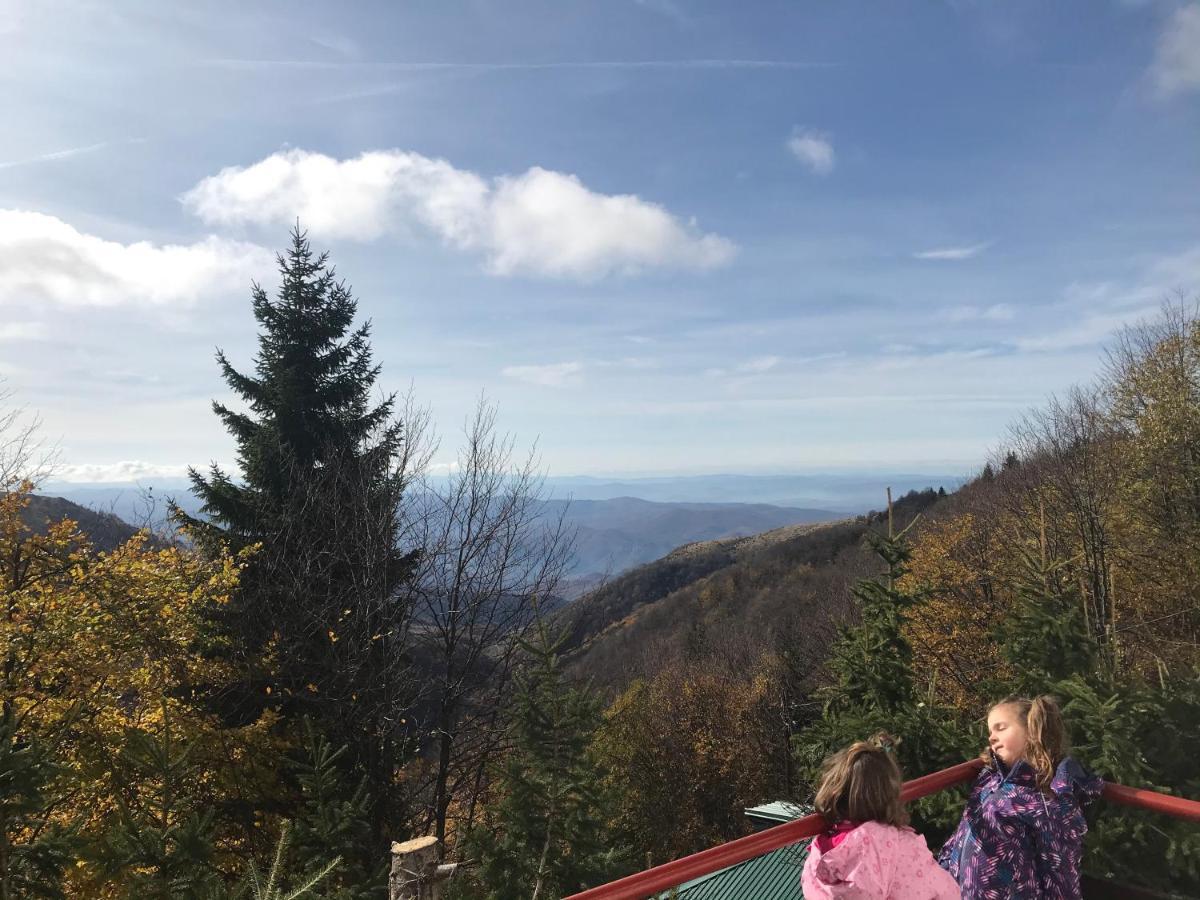 Holiday House Nesovic Kopaonik Luaran gambar
