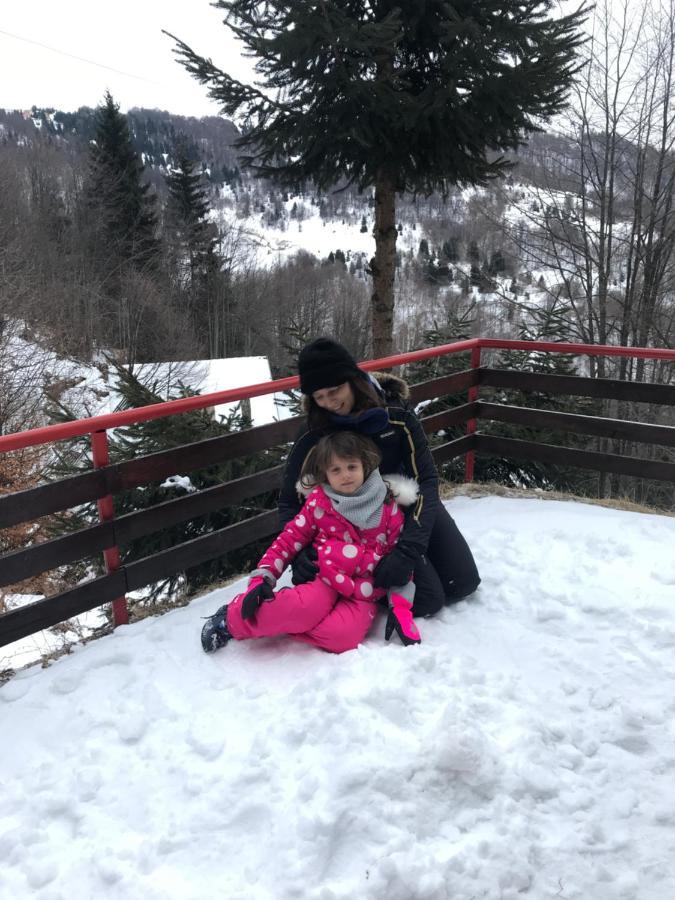 Holiday House Nesovic Kopaonik Luaran gambar