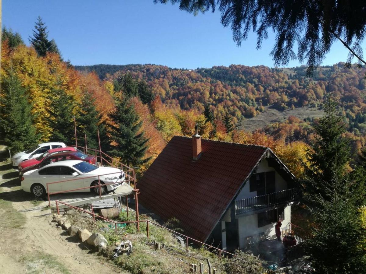 Holiday House Nesovic Kopaonik Luaran gambar