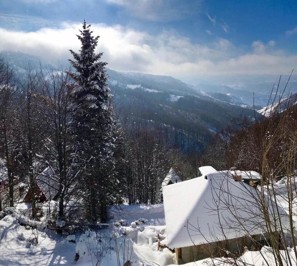 Holiday House Nesovic Kopaonik Luaran gambar
