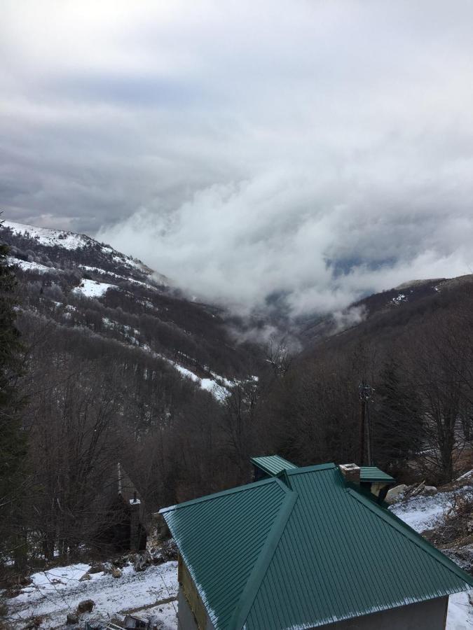 Holiday House Nesovic Kopaonik Luaran gambar