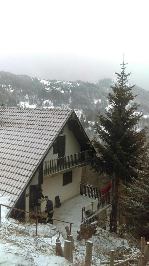 Holiday House Nesovic Kopaonik Luaran gambar