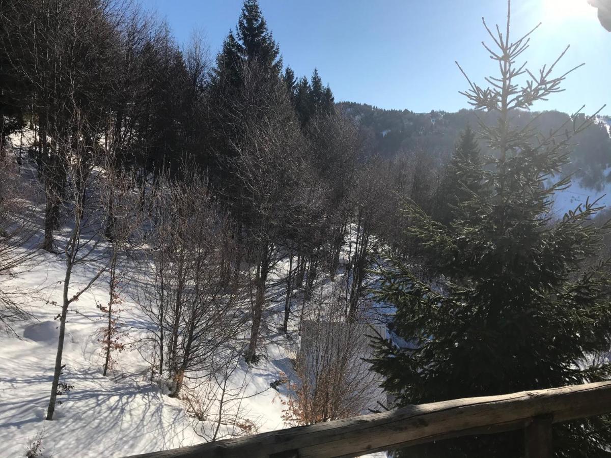 Holiday House Nesovic Kopaonik Luaran gambar