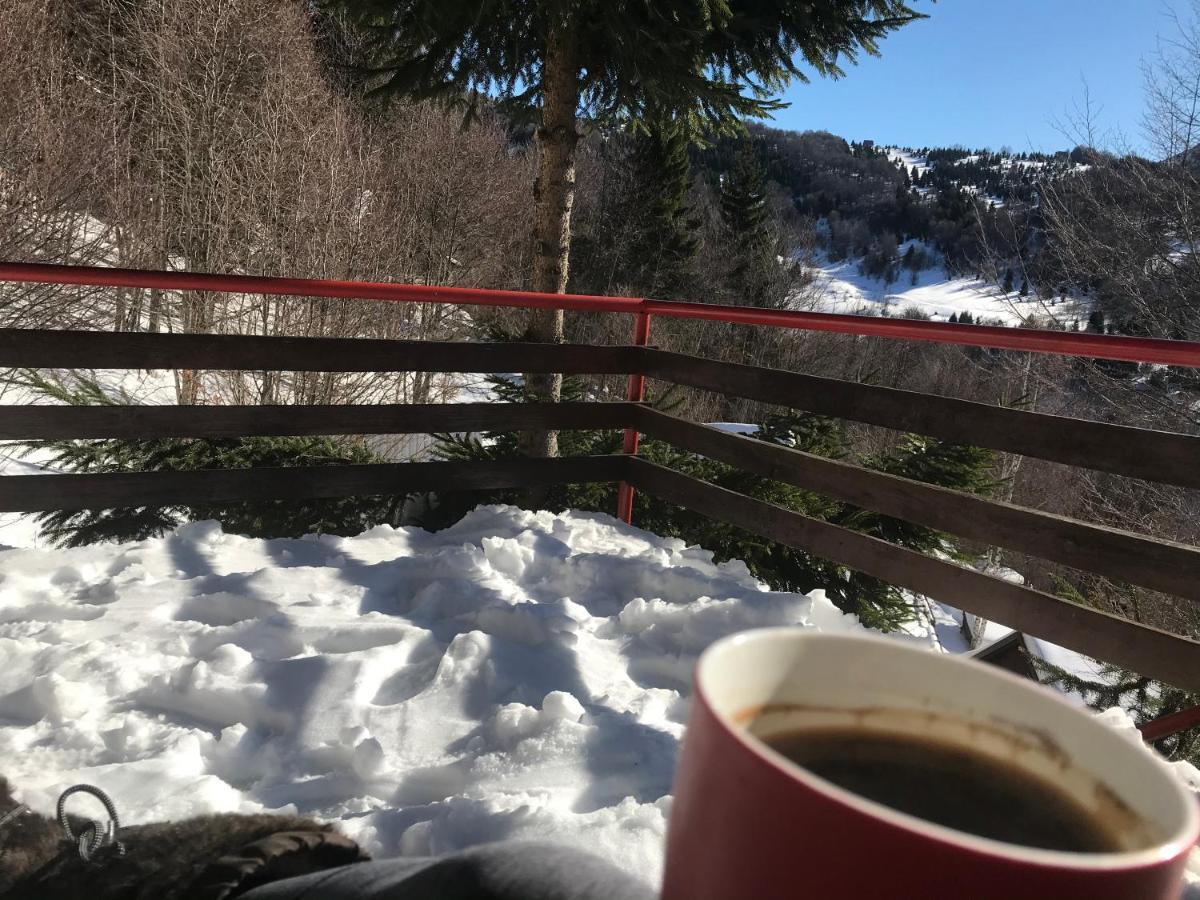 Holiday House Nesovic Kopaonik Luaran gambar