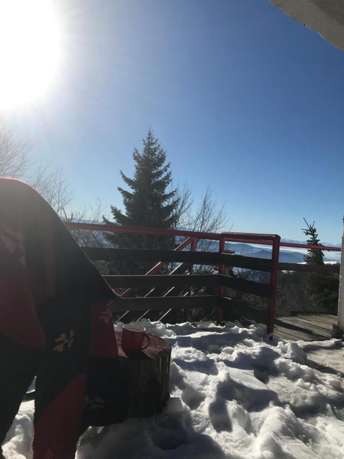 Holiday House Nesovic Kopaonik Luaran gambar