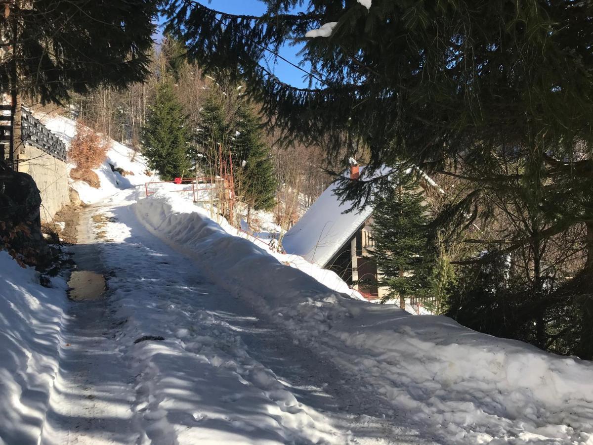 Holiday House Nesovic Kopaonik Luaran gambar