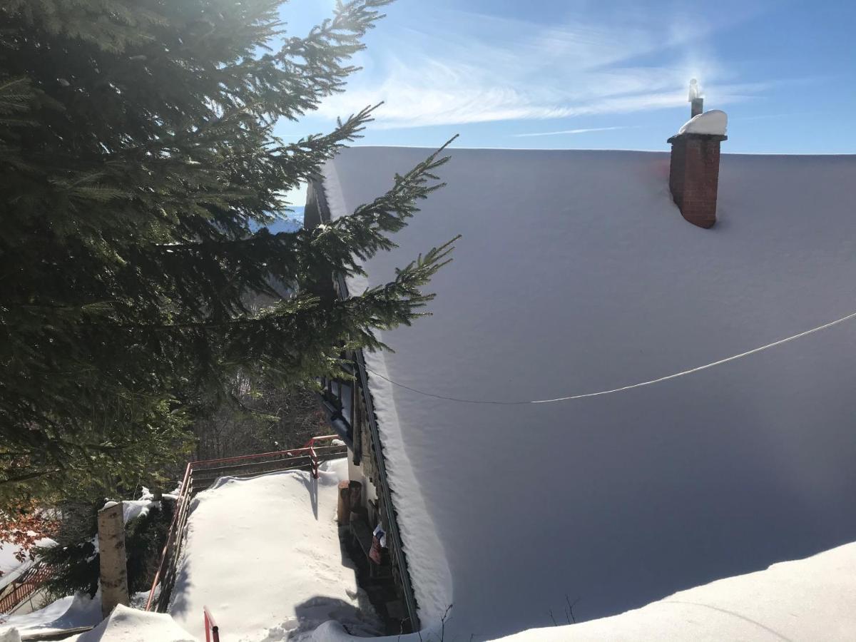 Holiday House Nesovic Kopaonik Luaran gambar