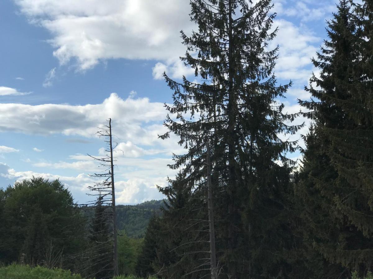 Holiday House Nesovic Kopaonik Luaran gambar