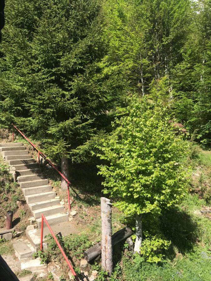 Holiday House Nesovic Kopaonik Luaran gambar